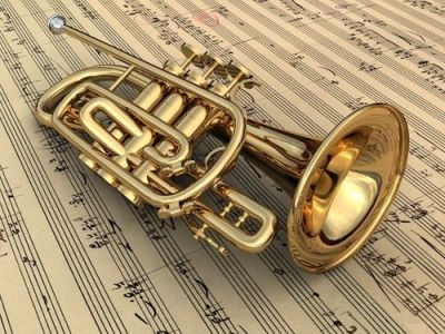 Solo & Ensemble Insights&nbsp;🎺